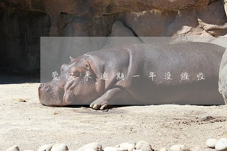 爱又米逾期一年没催收 爱又米逾期一年没催收