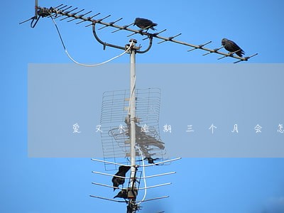 爱又米逾期三个月会怎么样 爱又米逾期三个月会怎么样