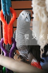 爱又米逾期三千多会上报公安么 爱又米逾期三千多会上报公安么
