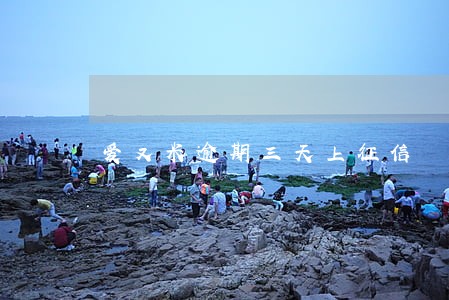 爱又米逾期三天上征信 爱又米逾期三天上征信