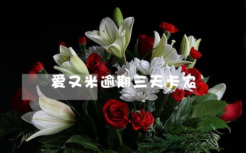 爱又米逾期三天卡农 爱又米逾期三天卡农