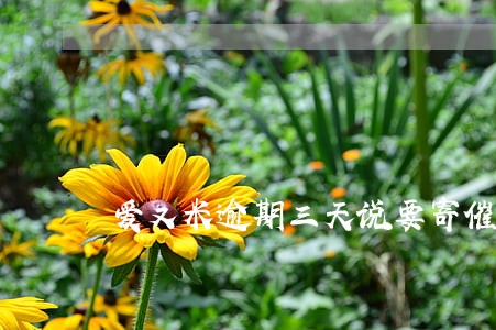 爱又米逾期三天说要寄催款单 爱又米逾期三天说要寄催款单