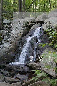 爱又米逾期上门讨债 爱又米逾期上门讨债