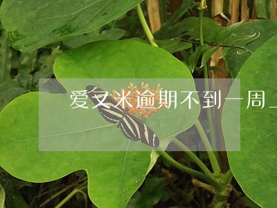 爱又米逾期不到一周上征信嘛 爱又米逾期不到一周上征信嘛