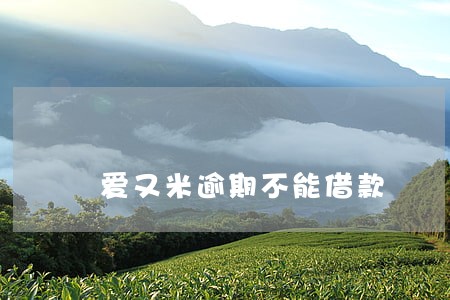 爱又米逾期不能借款 爱又米逾期不能借款