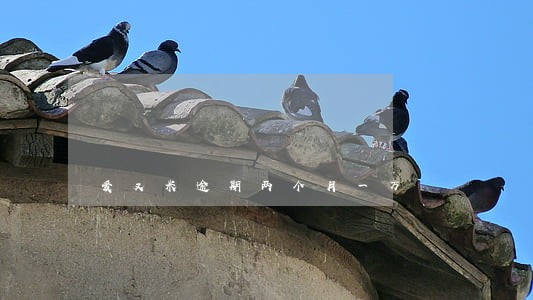 爱又米逾期两个月一万 爱又米逾期两个月一万