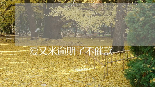 爱又米逾期了不催款 爱又米逾期了不催款