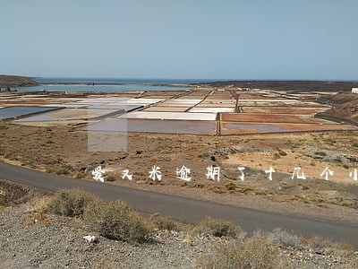 爱又米逾期了十几个小时 爱又米逾期了十几个小时
