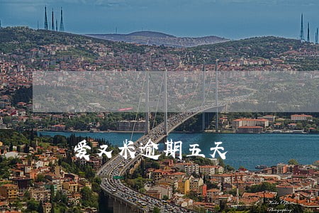 爱又米逾期五天 爱又米逾期五天