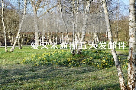 爱又米逾期五天发邮件 爱又米逾期五天发邮件