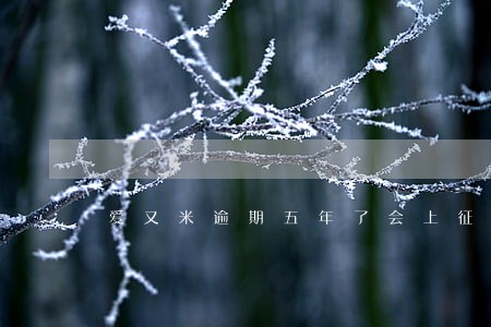 爱又米逾期五年了会上征信吗 爱又米逾期五年了会上征信吗