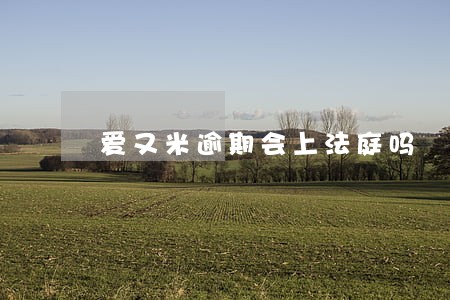 爱又米逾期会上法庭吗 爱又米逾期会上法庭吗