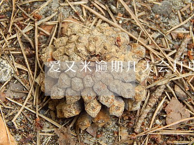爱又米逾期几天会打电话