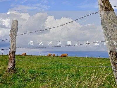 爱又米逾期几天会给家里打电话 爱又米逾期几天会给家里打电话
