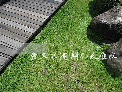 爱又米逾期几天催收