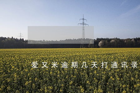 爱又米逾期几天打通讯录