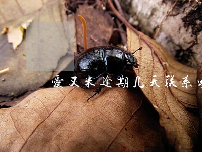 爱又米逾期几天联系家人