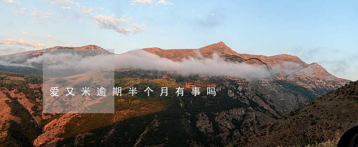 爱又米逾期半个月有事吗