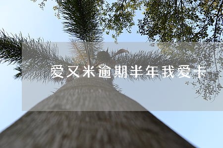 爱又米逾期半年我爱卡