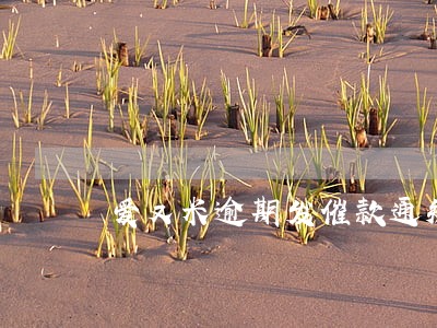 爱又米逾期发催款通知书