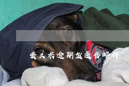 爱又米逾期发通告邮件