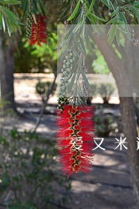 爱又米逾期发通知函