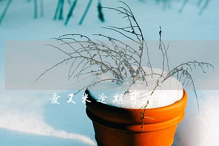 爱又米逾期可消除 爱又米逾期可消除