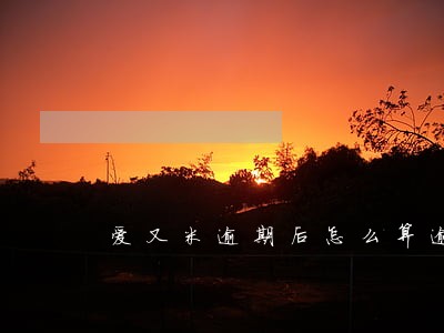 爱又米逾期后怎么算逾期费用