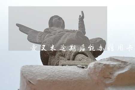 爱又米逾期后能办信用卡吗 爱又米逾期后能办信用卡吗