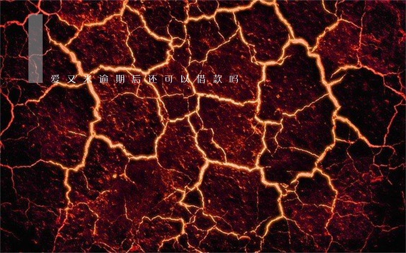 爱又米逾期后还可以借款吗
