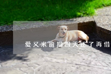 爱又米逾期四天还了再借