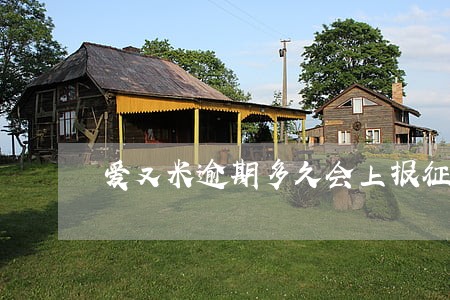 爱又米逾期多久会上报征信