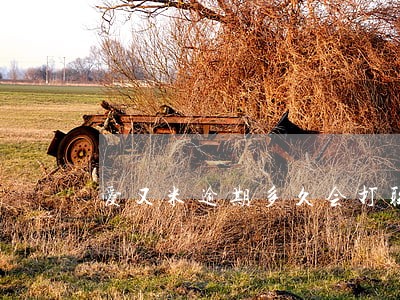 爱又米逾期多久会打联系人 爱又米逾期多久会打联系人