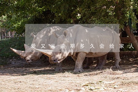爱又米逾期多久会给家人打电话