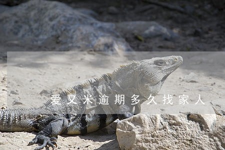 爱又米逾期多久找家人 爱又米逾期多久找家人