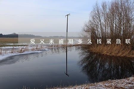 爱又米逾期多久找紧急联系人