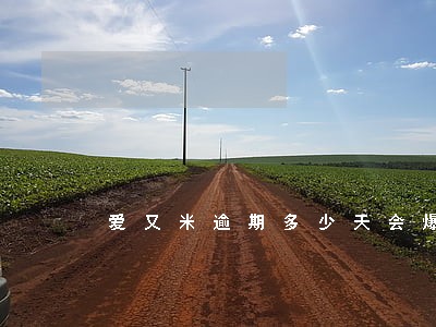 爱又米逾期多少天会爆 爱又米逾期多少天会爆