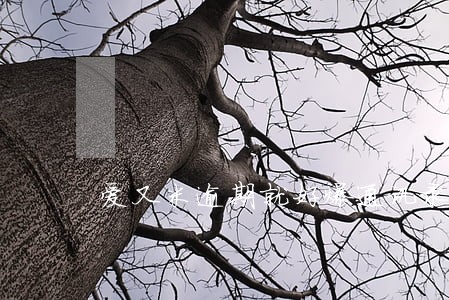 爱又米逾期就好爆通讯录 爱又米逾期就好爆通讯录