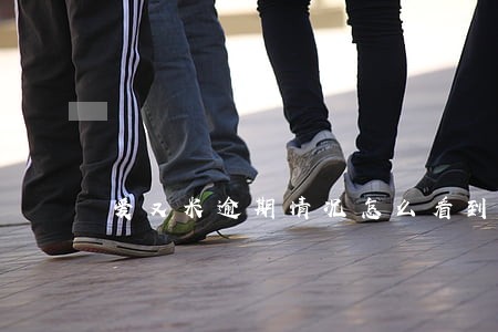 爱又米逾期情况怎么看到 爱又米逾期情况怎么看到