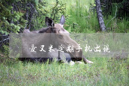爱又米逾期手机出现 爱又米逾期手机出现