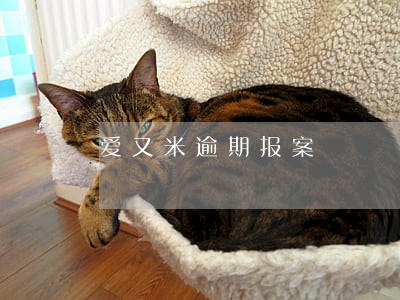 爱又米逾期报案 爱又米逾期报案