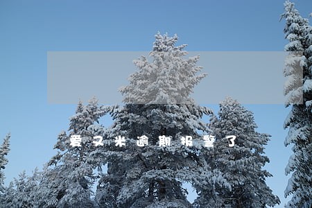 爱又米逾期报警了 爱又米逾期报警了