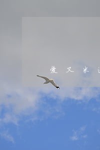 爱又米逾期收到催款通知书 爱又米逾期收到催款通知书