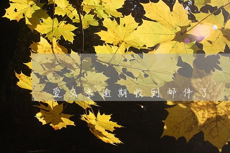 爱又米逾期收到邮件了 爱又米逾期收到邮件了