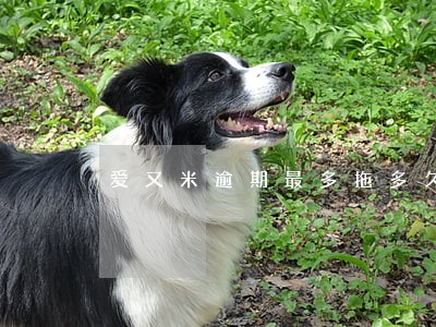 爱又米逾期最多拖多久打电话 爱又米逾期最多拖多久打电话