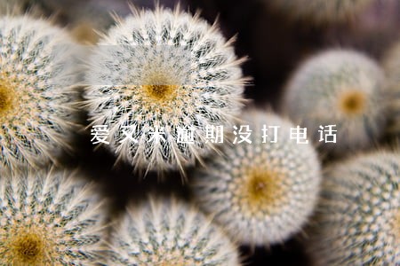 爱又米逾期没打电话 爱又米逾期没打电话