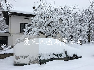 爱又米逾期第三天 爱又米逾期第三天