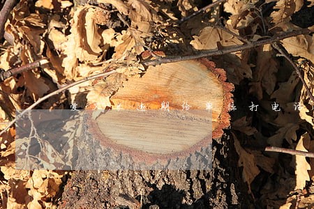 爱又米逾期给单位打电话 爱又米逾期给单位打电话