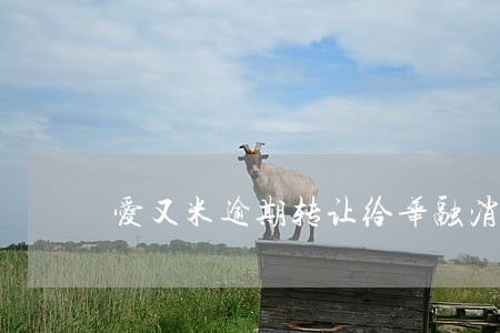 爱又米逾期转让给华融消费金融 爱又米逾期转让给华融消费金融