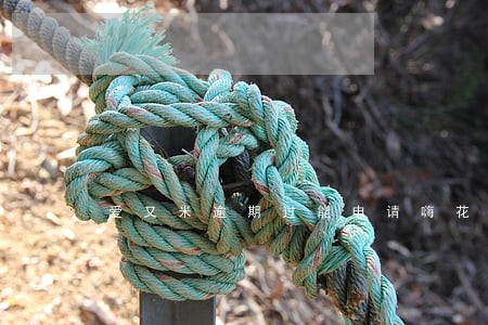 爱又米逾期过能申请嗨花吗 爱又米逾期过能申请嗨花吗